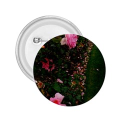 Pink Rose Field (sideways) 2 25  Buttons by okhismakingart