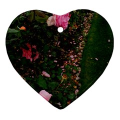 Pink Rose Field (sideways) Ornament (heart) by okhismakingart