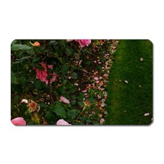 Pink Rose Field (sideways) Magnet (rectangular) by okhismakingart