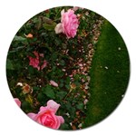 Pink Rose Field (Sideways) Magnet 5  (Round) Front