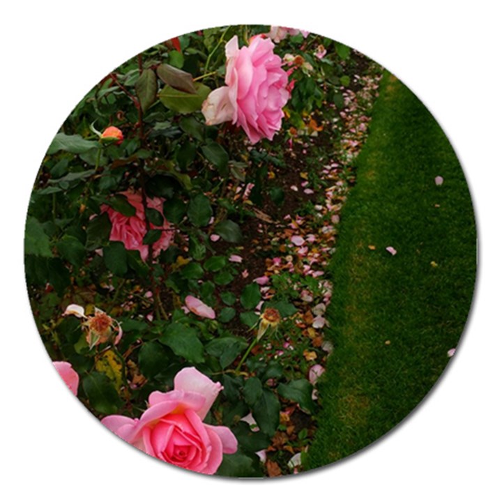 Pink Rose Field (Sideways) Magnet 5  (Round)