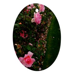 Pink Rose Field (sideways) Oval Ornament (two Sides) by okhismakingart