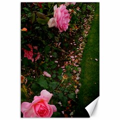 Pink Rose Field (sideways) Canvas 12  X 18  by okhismakingart