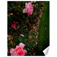 Pink Rose Field (sideways) Canvas 18  X 24  by okhismakingart