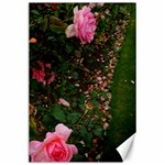 Pink Rose Field (Sideways) Canvas 24  x 36  23.35 x34.74  Canvas - 1