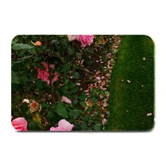 Pink Rose Field (sideways) Plate Mats by okhismakingart