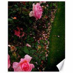 Pink Rose Field (sideways) Canvas 11  X 14  by okhismakingart