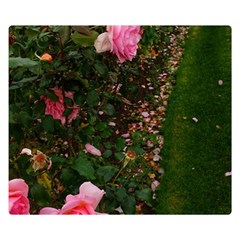 Pink Rose Field (sideways) Double Sided Flano Blanket (small)  by okhismakingart