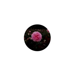 Pink Rose Field Ii 1  Mini Magnets by okhismakingart