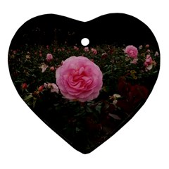 Pink Rose Field Ii Ornament (heart) by okhismakingart