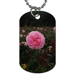 Pink Rose Field Ii Dog Tag (two Sides) by okhismakingart