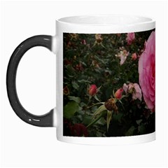 Pink Rose Field Ii Morph Mugs