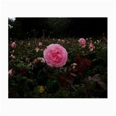 Pink Rose Field Ii Small Glasses Cloth by okhismakingart