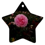 Pink Rose Field II Star Ornament (Two Sides) Front