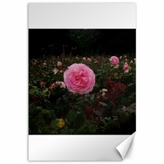 Pink Rose Field Ii Canvas 12  X 18  by okhismakingart