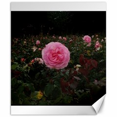 Pink Rose Field Ii Canvas 20  X 24  by okhismakingart