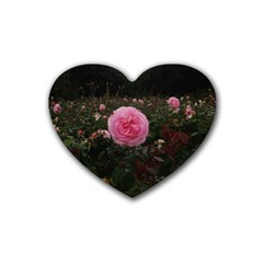 Pink Rose Field Ii Rubber Coaster (heart)  by okhismakingart