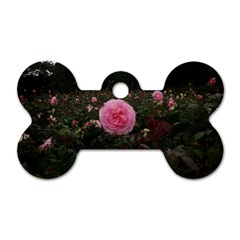 Pink Rose Field Ii Dog Tag Bone (two Sides) by okhismakingart