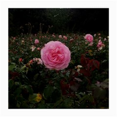 Pink Rose Field Ii Medium Glasses Cloth (2-side) by okhismakingart