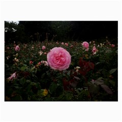 Pink Rose Field Ii Large Glasses Cloth (2-side) by okhismakingart