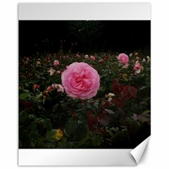 Pink Rose Field Ii Canvas 11  X 14  by okhismakingart