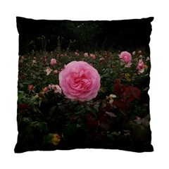 Pink Rose Field Ii Standard Cushion Case (one Side) by okhismakingart