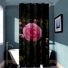 Pink Rose Field Ii Shower Curtain 36  X 72  (stall)  by okhismakingart