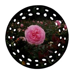 Pink Rose Field Ii Round Filigree Ornament (two Sides) by okhismakingart