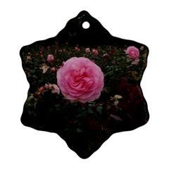 Pink Rose Field Ii Snowflake Ornament (two Sides) by okhismakingart