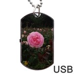 Pink Rose Field II Dog Tag USB Flash (Two Sides) Front