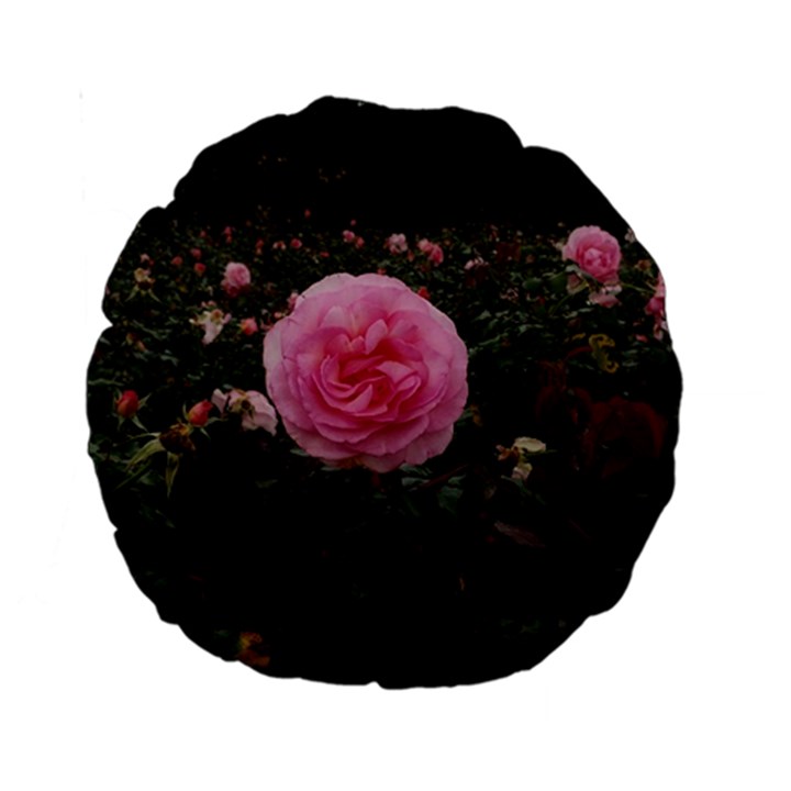 Pink Rose Field II Standard 15  Premium Round Cushions