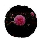 Pink Rose Field II Standard 15  Premium Round Cushions Back