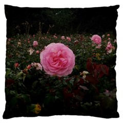 Pink Rose Field Ii Standard Flano Cushion Case (two Sides) by okhismakingart