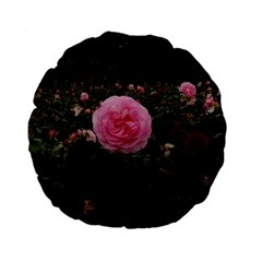 Pink Rose Field Ii Standard 15  Premium Flano Round Cushions by okhismakingart