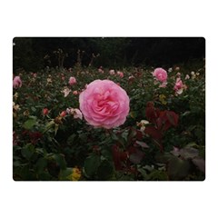 Pink Rose Field Ii Double Sided Flano Blanket (mini)  by okhismakingart