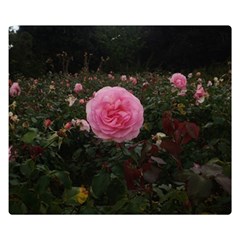 Pink Rose Field Ii Double Sided Flano Blanket (small)  by okhismakingart