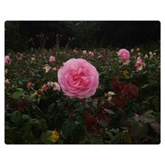 Pink Rose Field Ii Double Sided Flano Blanket (medium)  by okhismakingart