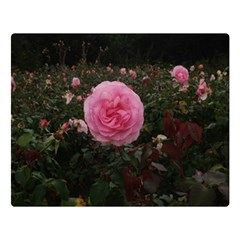 Pink Rose Field Ii Double Sided Flano Blanket (large)  by okhismakingart