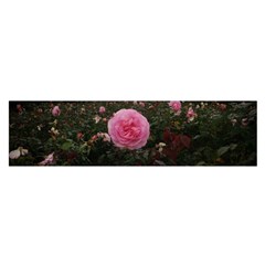 Pink Rose Field Ii Satin Scarf (oblong) by okhismakingart