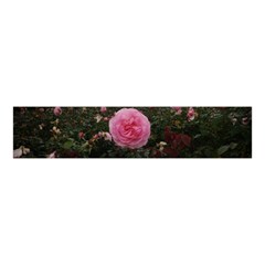 Pink Rose Field Ii Velvet Scrunchie by okhismakingart