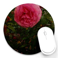 Round Pink Rose Round Mousepads by okhismakingart