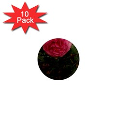 Round Pink Rose 1  Mini Magnet (10 Pack)  by okhismakingart