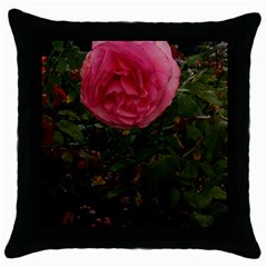 Round Pink Rose Throw Pillow Case (black) by okhismakingart