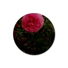 Round Pink Rose Rubber Coaster (round)  by okhismakingart