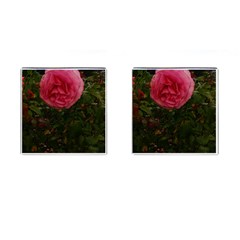 Round Pink Rose Cufflinks (square) by okhismakingart