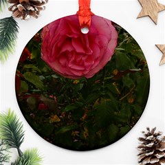 Round Pink Rose Round Ornament (two Sides) by okhismakingart