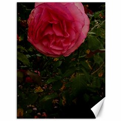 Round Pink Rose Canvas 36  X 48  by okhismakingart