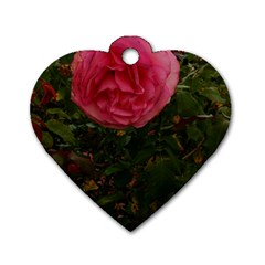 Round Pink Rose Dog Tag Heart (one Side) by okhismakingart