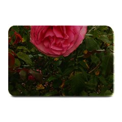 Round Pink Rose Plate Mats by okhismakingart