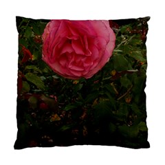 Round Pink Rose Standard Cushion Case (one Side) by okhismakingart